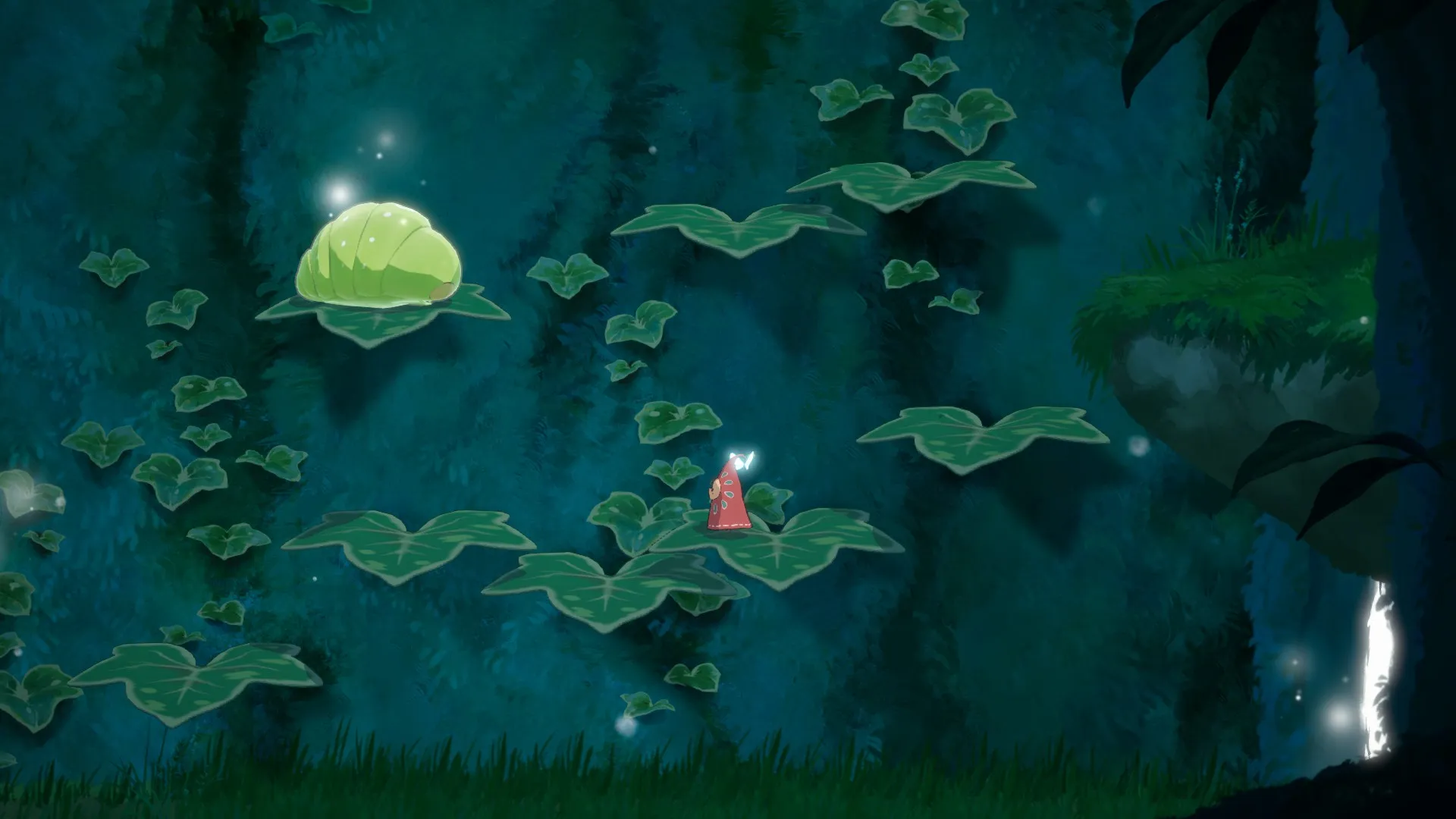 A journey across the leaves in the deep forest
